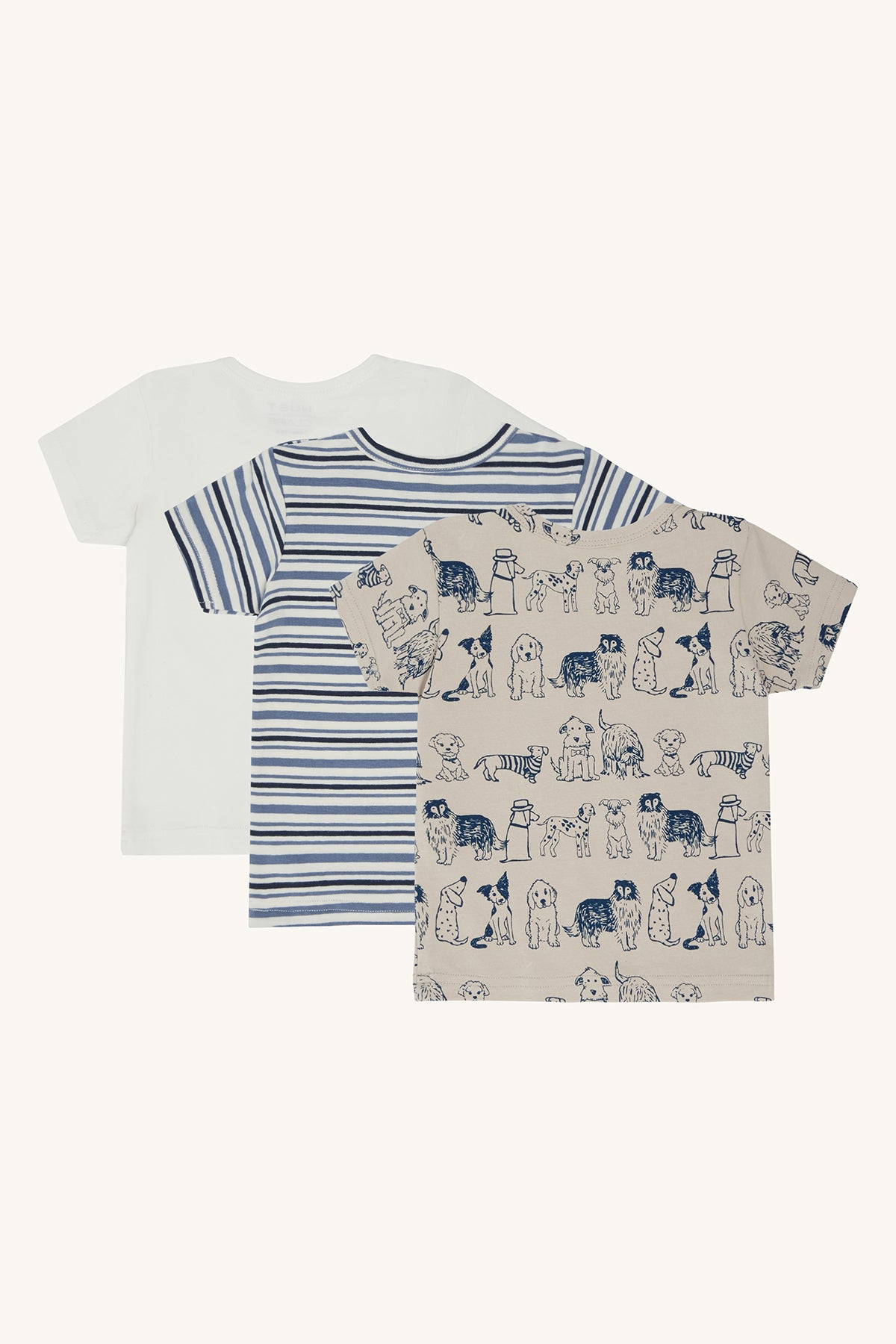 HCAlbert- T-shirt s/s 3 pack