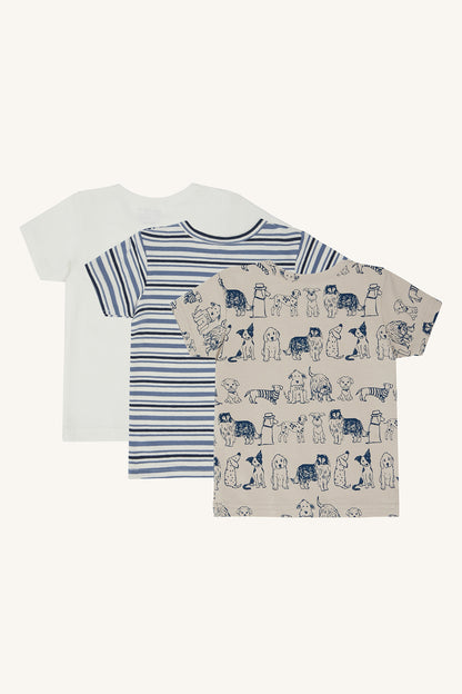 HCAlbert- T-shirt s/s 3 pack