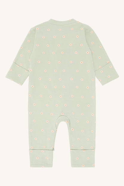 HCMich Elemen - Color 3901