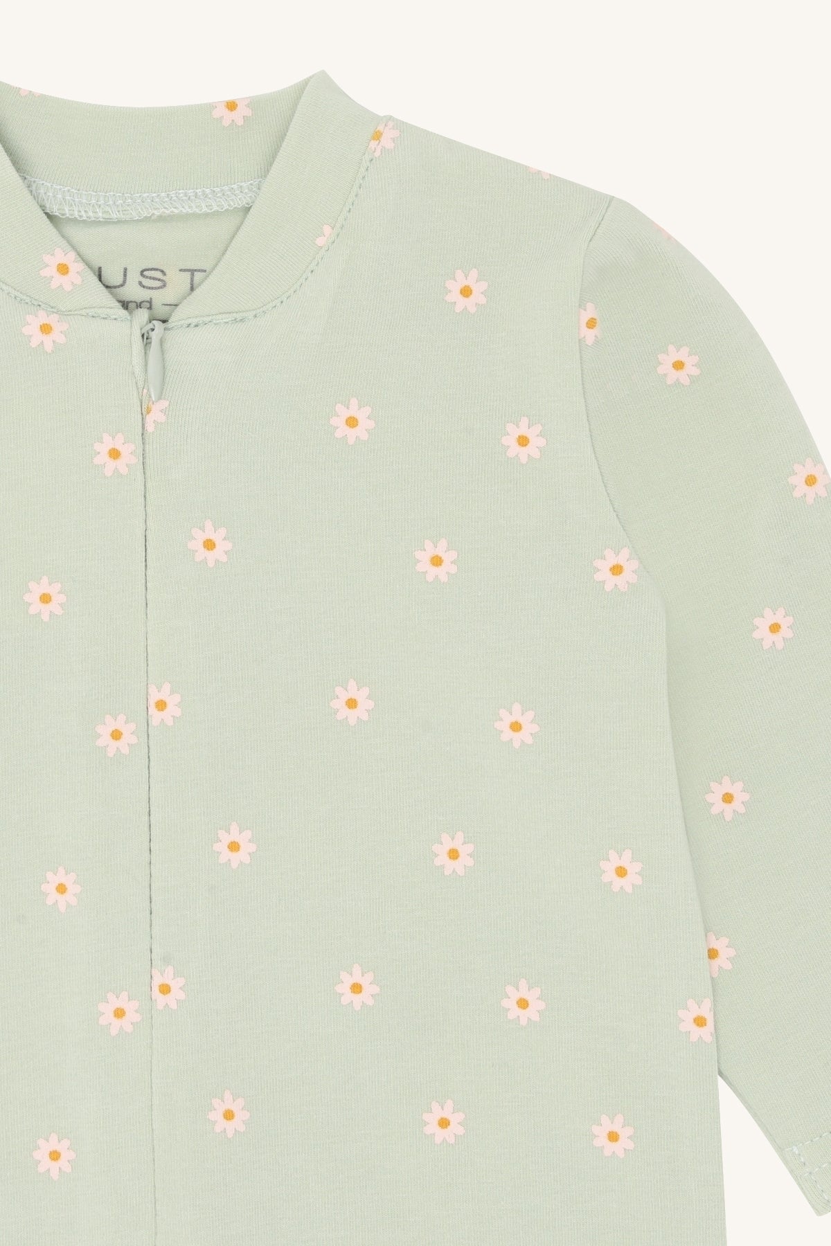 HCMich Elemen - Color 3901