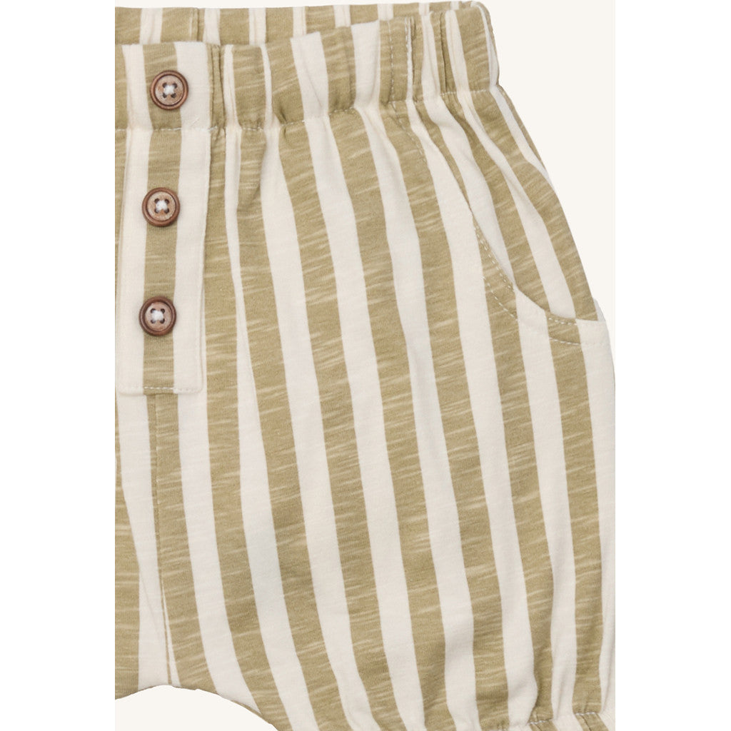 Hust & Claire Shorts HCHalvor Striped Shorts 4442 Green Bone